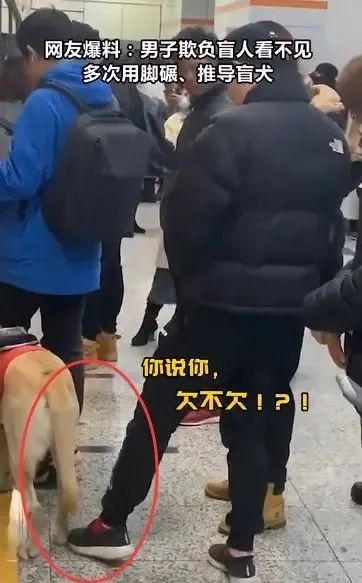 它比大熊猫还珍贵，为何被骂上热搜，不断遭人驱逐？