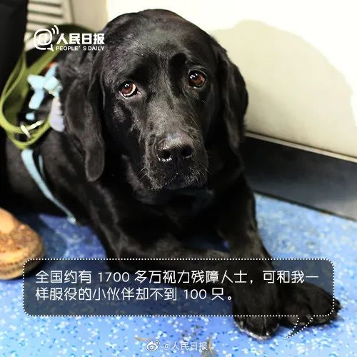 它比大熊猫还珍贵，为何被骂上热搜，不断遭人驱逐？