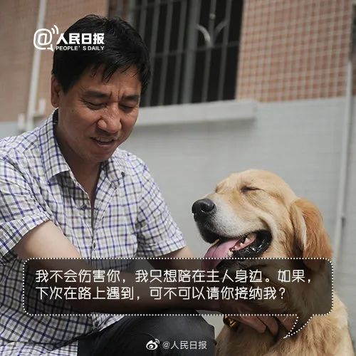 它比大熊猫还珍贵，为何被骂上热搜，不断遭人驱逐？