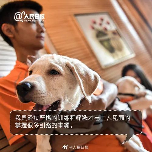 它比大熊猫还珍贵，为何被骂上热搜，不断遭人驱逐？