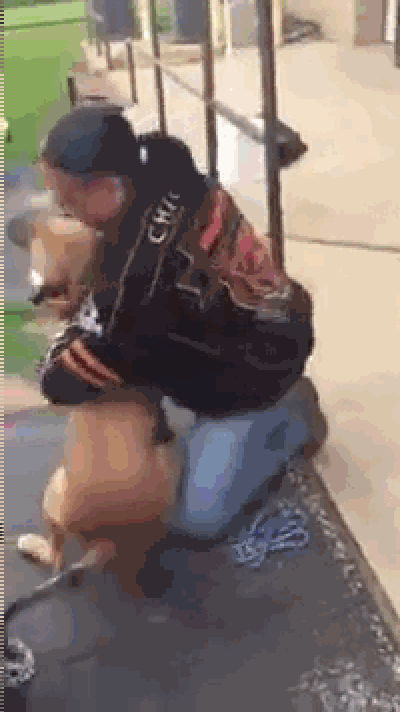 它比大熊猫还珍贵，为何被骂上热搜，不断遭人驱逐？