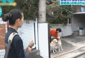 它比大熊猫还珍贵，为何被骂上热搜，不断遭人驱逐？