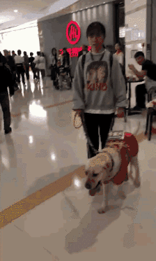 它比大熊猫还珍贵，为何被骂上热搜，不断遭人驱逐？