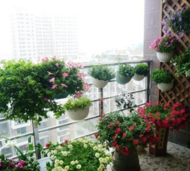 看看别人家的小阳台大格局阳