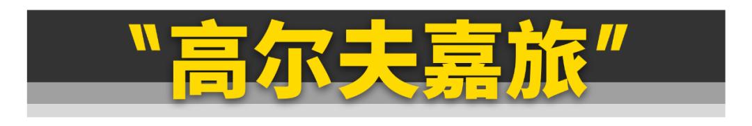 11款刚上市就“凉凉”的车，大众占了俩！