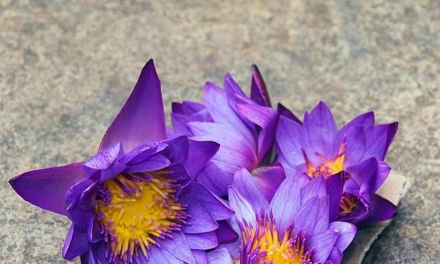 佛教:学佛人要改变自己,首先从你的思维模式开始