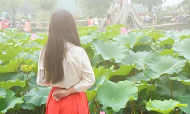 佛教:学佛人要改变自己,首先从你的思维模式开始