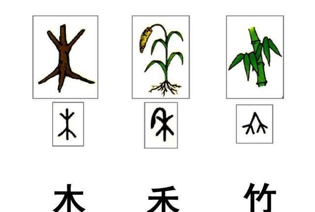 象形字 符号和象形文字之间的区别