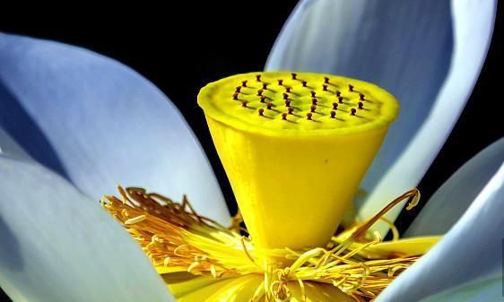 佛学:修行人要做到“有破有立”,要破什么我们真的会吗?