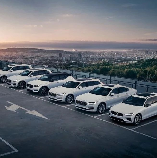 深耕中国十年，5月卖了15101辆车，靠什么？