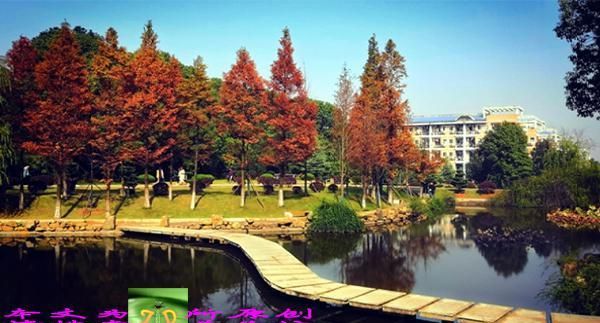 湖北公办二本大排名_湖北最适合“二本”考生的20所公办大学,录取分低