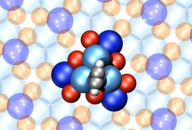 分子马达:世界上最小的电动机 1 分子马达:世界上最小的电动机
