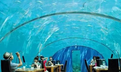 比利时一座水下餐厅,建在33米泳池下,一顿3000还有特殊要求