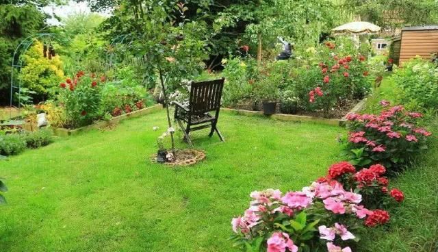 可以打理布局成小花园小菜园,如果有一个自己的院子,那真的非常令人