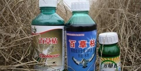 百草枯是一种怎样的农药?