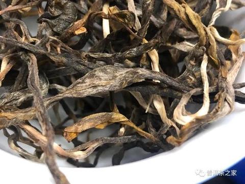 如何辨别老班章古树茶是不是头春？普洱茶的头春和尾春差在哪？