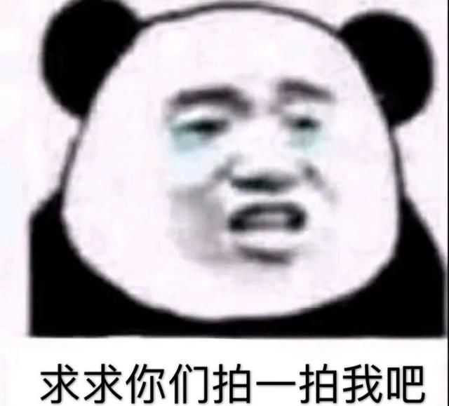 求求你们拍一拍我吧(微信拍一拍表情包)