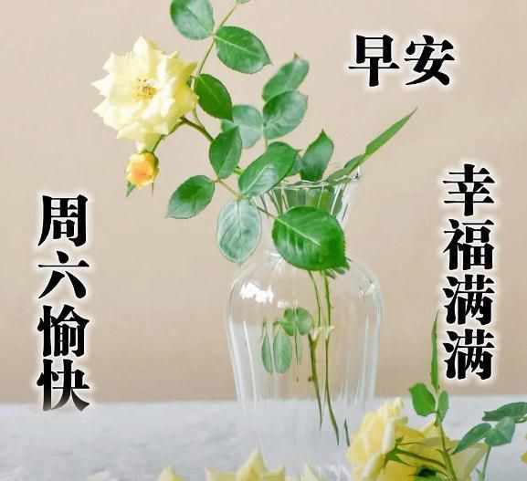 星期六早上好阳光暖心的问候句子,早晨好美的祝福图片