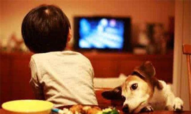 妈妈带儿子到售楼处看房，孩子盯着沙盘一动不动，走近后发现原因