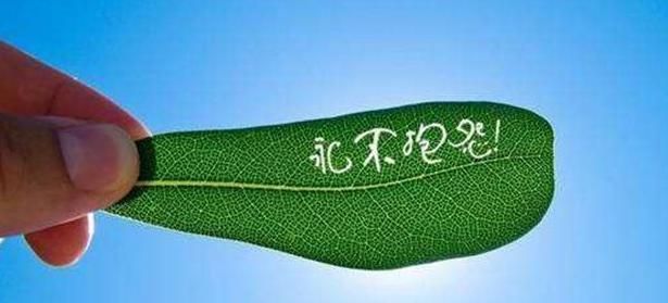 喜欢自驾游的朋友,想要旅途愉快需要避免与这几种人结伴同行