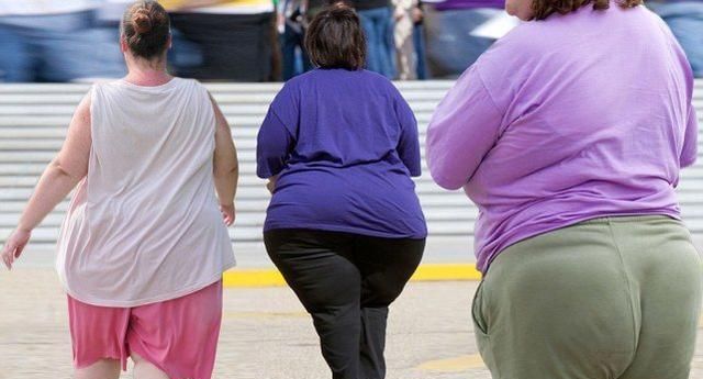 英国人平均体脂率超过猪,数据上看,他们"比猪还胖"