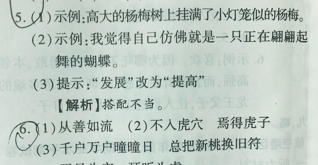 三年级语文老师整理期末知识考点,孩子这样复习