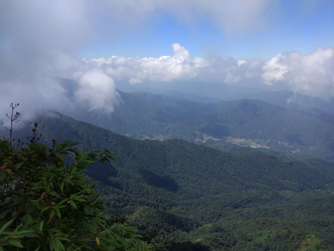 广西一座山,内有华南第一高峰,呈北东—南西走向,地跨2县