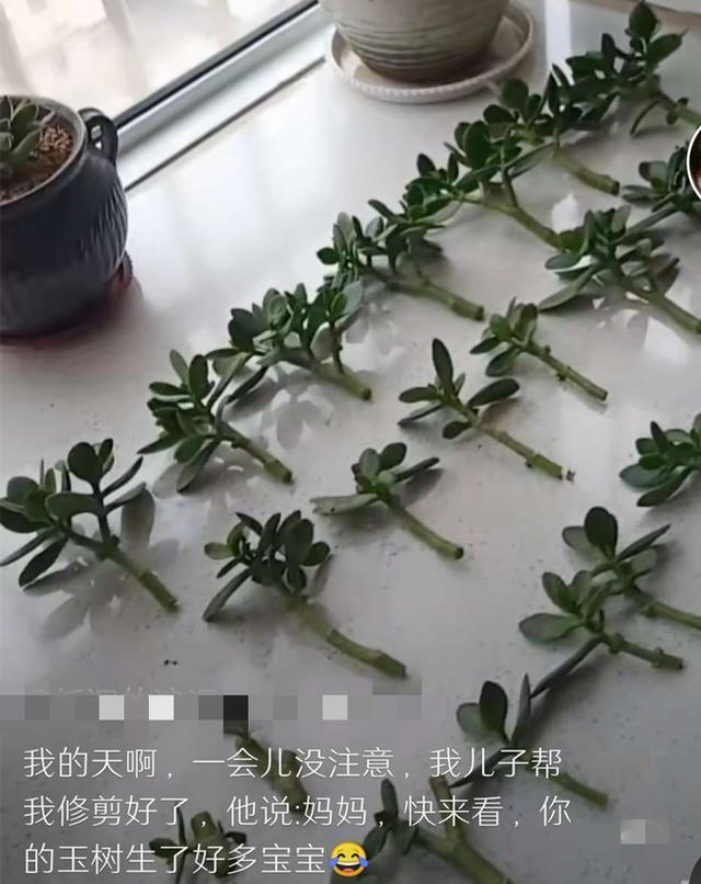 兄弟合起伙"拆家",全都是泡沫,宝妈开玩笑:差点享年