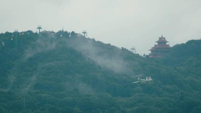 山不在高，有仙则名，仙气来了挡不住！你不曾见过的磨山景色_新浪新闻