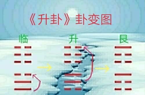 「升卦」象辞君子以顺德,积小以高大破解