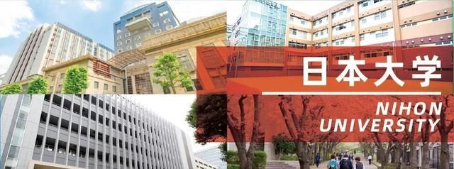 名校志向塾21出愿tips 日本大学学部综合报考指南 学部 学科 考生 新浪新闻