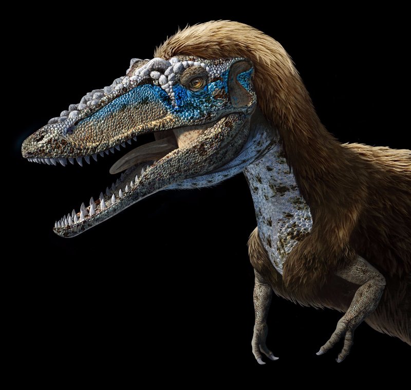 恐龙陷入致命泥潭,经过千万年变成化石