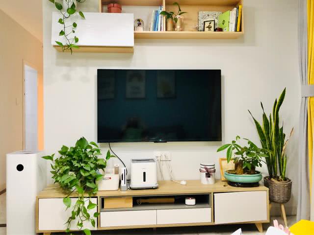 电视背景墙用简约风原木色的电视柜与墙壁置物架柜搭配,然后摆上盆栽