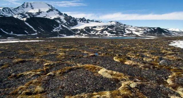 北极现40000年远古生物,已确定种类,人类最担心的问题在发生?