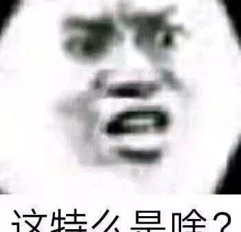这特么是啥?(熊猫头考试表情包)