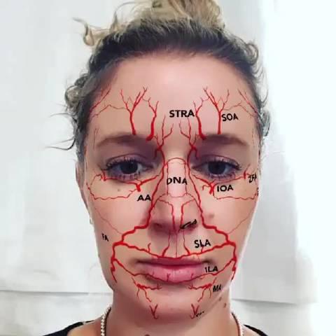 面部动脉血管分布,当你做面部整形项目或者微整形时
