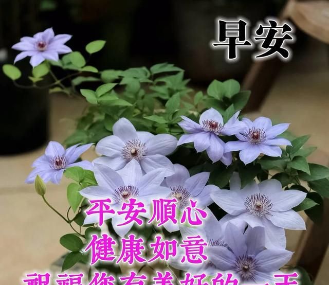 夏天早安问候图片最新版,当下最流行的早安感悟句子