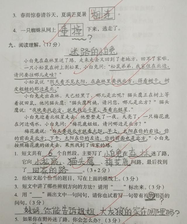 二年级语文下册综合卷,题目不难,尖子生书写漂亮,作文