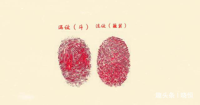 九种指纹类型看一生命运