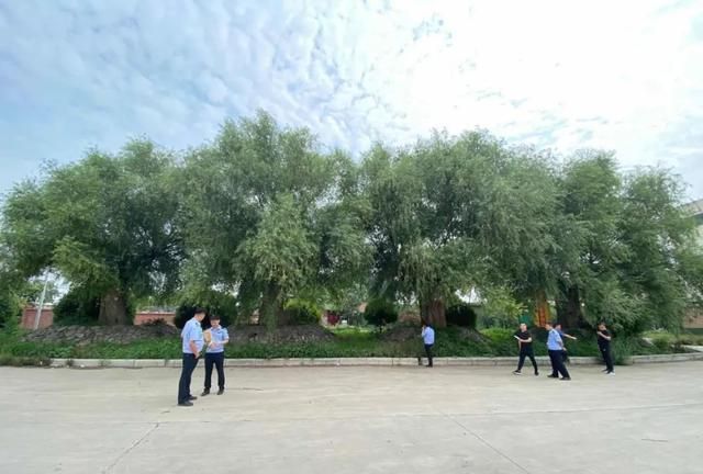 公司欠款数百万河南辉县某生态植物园园林景物被查封