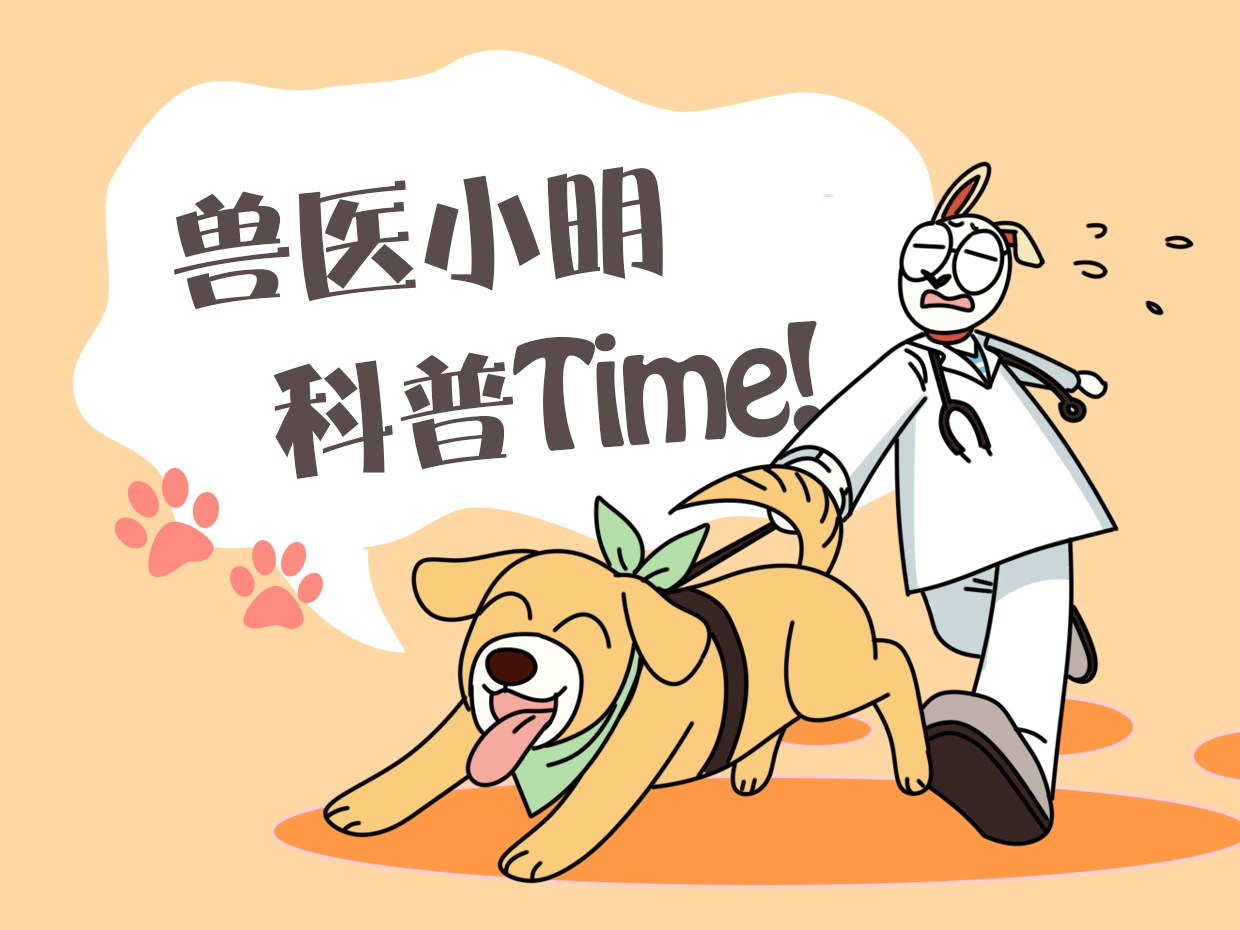 男子刚进健身房，就看到一只肥猫趴在器材上睡觉：画面过于讽刺了