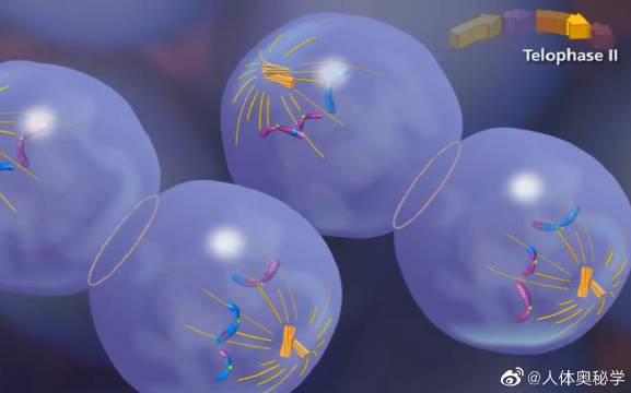 减法算式解题技巧 被减数减数与差的关系