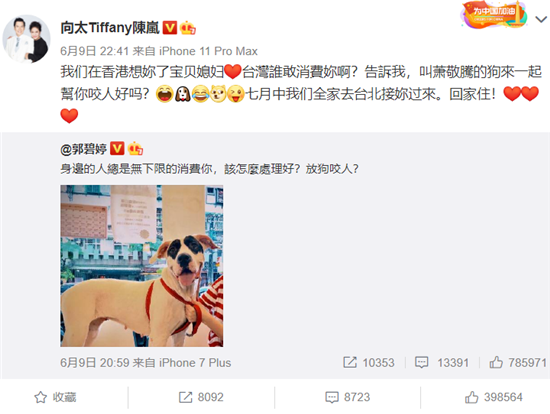 悔不当初?郭碧婷被传怀孕后网上动态意味深长,和向佐感情还好?