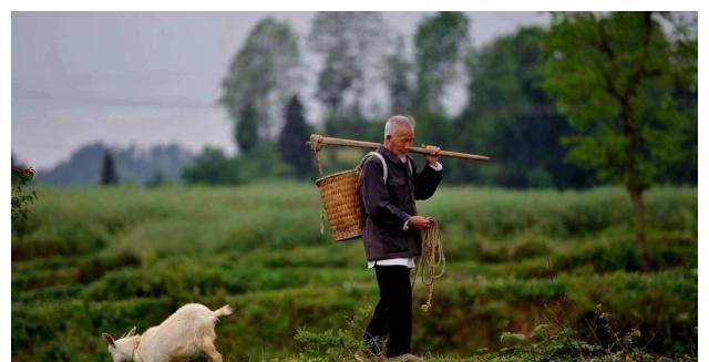 农村六七十岁的老人是否还应该下地干活?您怎么看?