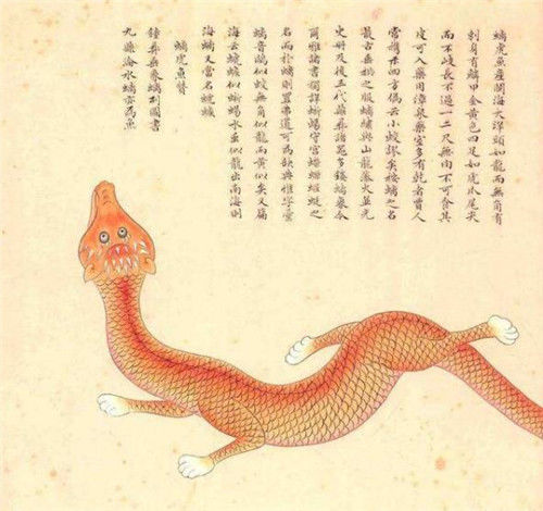 故宫有本清朝画册，画了300种怪物，唯独这条美人鱼让专家很激动