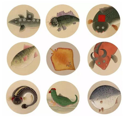 故宫有本清朝画册，画了300种怪物，唯独这条美人鱼让专家很激动