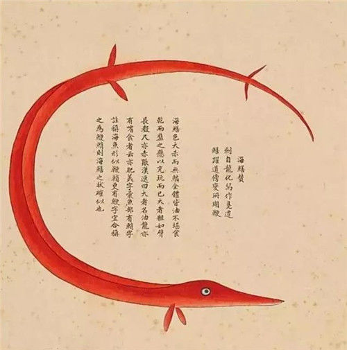 故宫有本清朝画册，画了300种怪物，唯独这条美人鱼让专家很激动