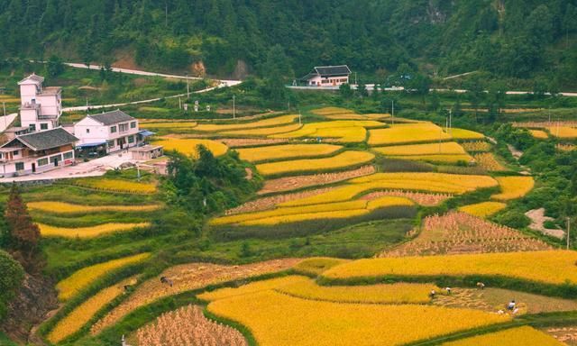 中国最美乡村,风景如画堪比旅游景区,带你先睹为快!