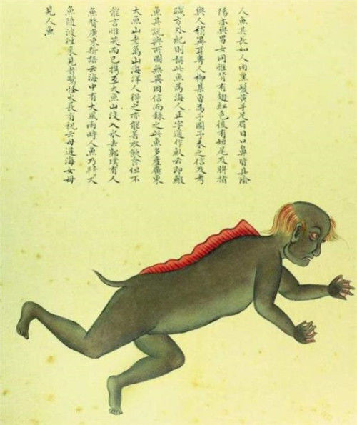 故宫有本清朝画册，画了300种怪物，唯独这条美人鱼让专家很激动