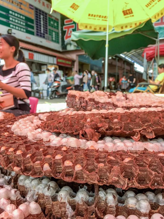 昆明这个全国第一菜市场终于藏不住了!|云南